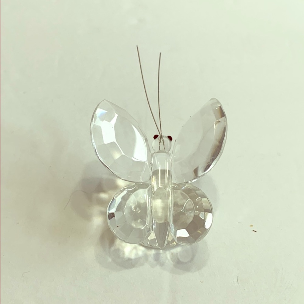 Butterfly 🦋